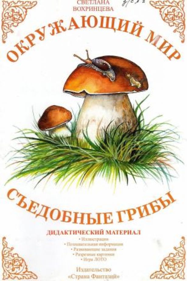 Окружающий мир: «Съедобные грибы»